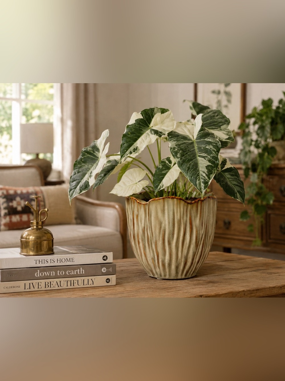Brown Fluted Ceramic Planter with Drainage Hole, 6 Inch Pot